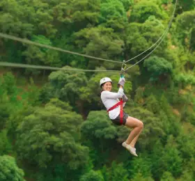 2 Nights 3 Days Wayanad Holiday Package